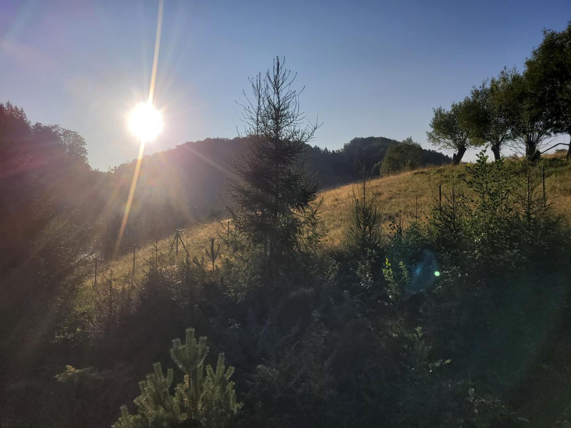 Forest Camp Dom W Gorach Sowich Michalkowa Luaran gambar