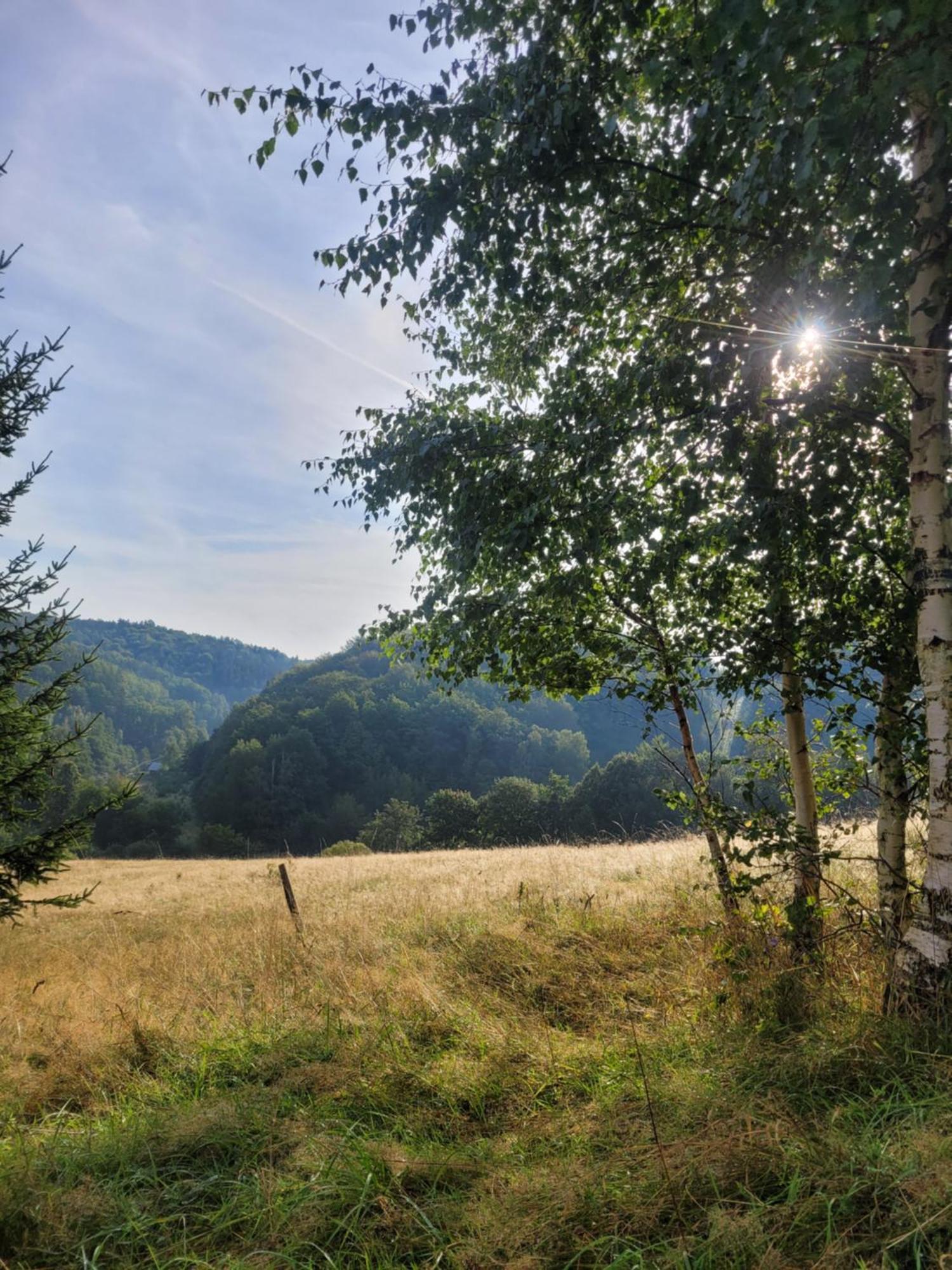 Forest Camp Dom W Gorach Sowich Michalkowa Luaran gambar